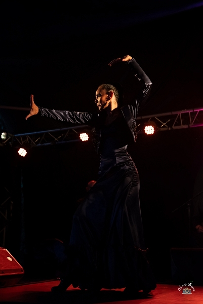 flamenco (101)